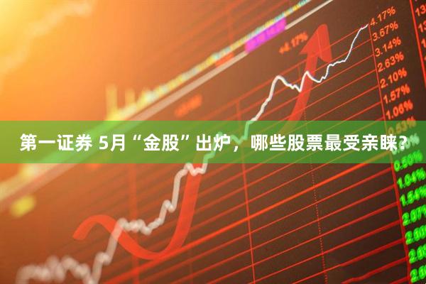 第一证券 5月“金股”出炉，哪些股票最受亲睐？
