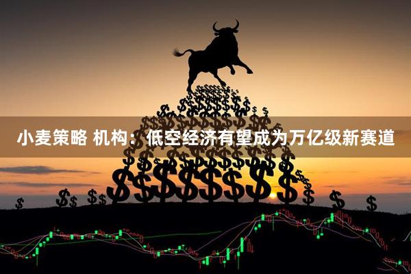 小麦策略 机构：低空经济有望成为万亿级新赛道