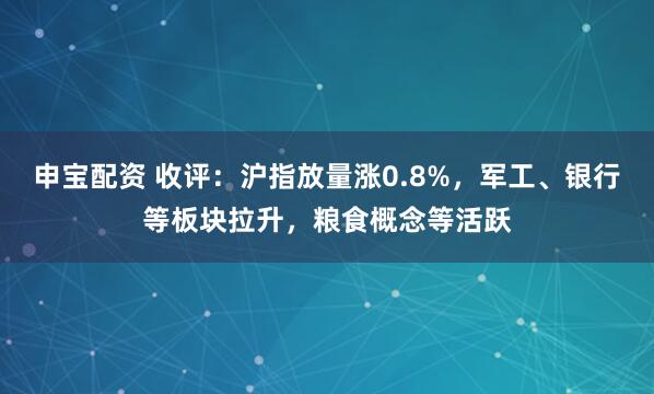 申宝配资 收评：沪指放量涨0.8%，军工、银行等板块拉升，粮食概念等活跃