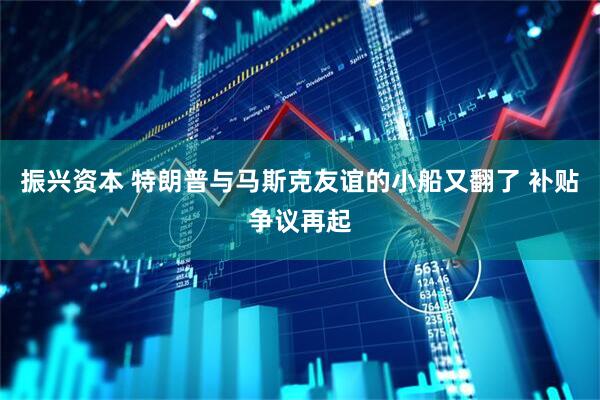 振兴资本 特朗普与马斯克友谊的小船又翻了 补贴争议再起