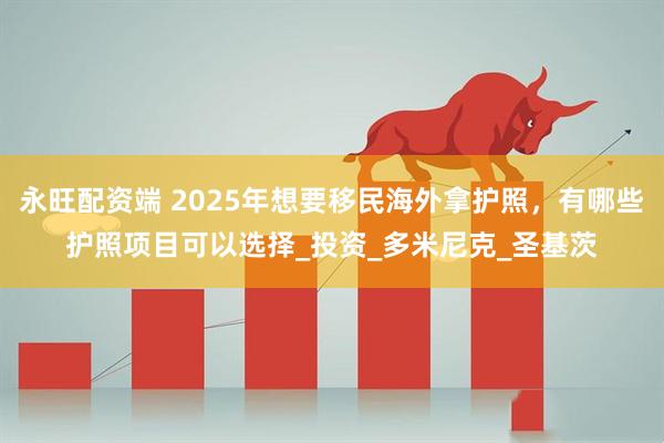 永旺配资端 2025年想要移民海外拿护照，有哪些护照项目可以选择_投资_多米尼克_圣基茨
