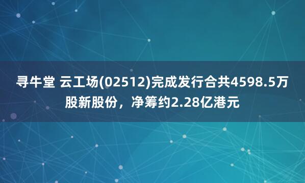 寻牛堂 云工场(02512)完成发行合共4598.5万股新股份，净筹约2.28亿港元