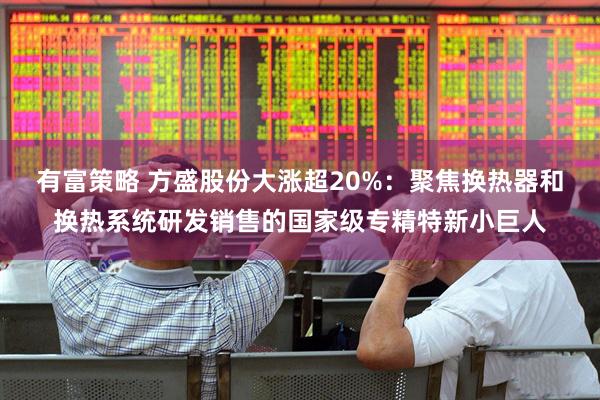 有富策略 方盛股份大涨超20%：聚焦换热器和换热系统研发销售的国家级专精特新小巨人