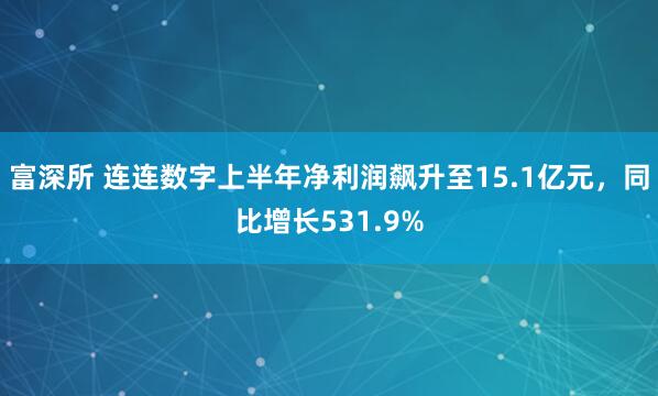 富深所 连连数字上半年净利润飙升至15.1亿元，同比增长531.9%