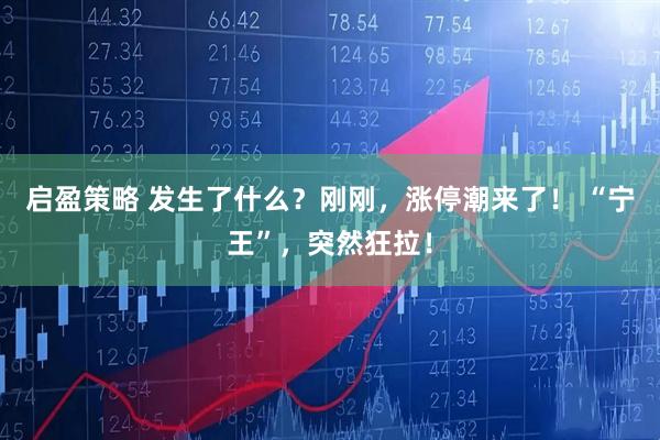 启盈策略 发生了什么？刚刚，涨停潮来了！ “宁王”，突然狂拉！