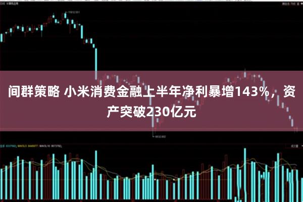 间群策略 小米消费金融上半年净利暴增143%，资产突破230亿元
