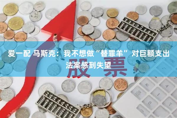 爱一配 马斯克：我不想做“替罪羊” 对巨额支出法案感到失望
