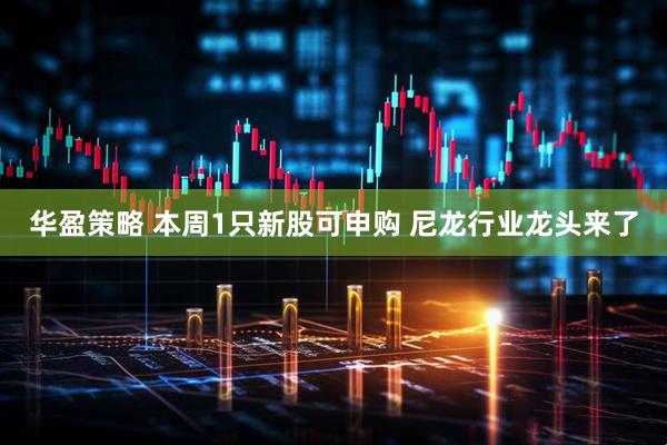 华盈策略 本周1只新股可申购 尼龙行业龙头来了