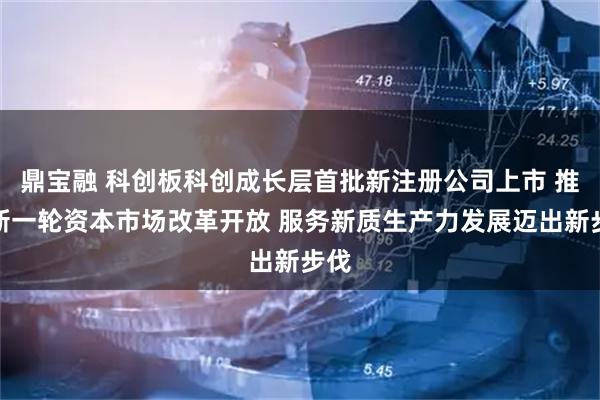 鼎宝融 科创板科创成长层首批新注册公司上市 推进新一轮资本市场改革开放 服务新质生产力发展迈出新步伐