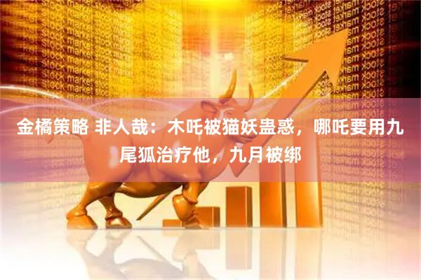 金橘策略 非人哉：木吒被猫妖蛊惑，哪吒要用九尾狐治疗他，九月被绑